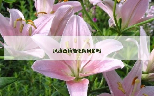 风水凸镜能化解墙角吗