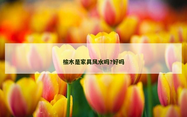 榆木是家具风水吗?好吗