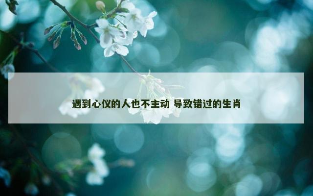 遇到心仪的人也不主动 导致错过的生肖