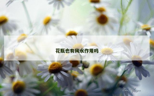 花瓶也有风水作用吗