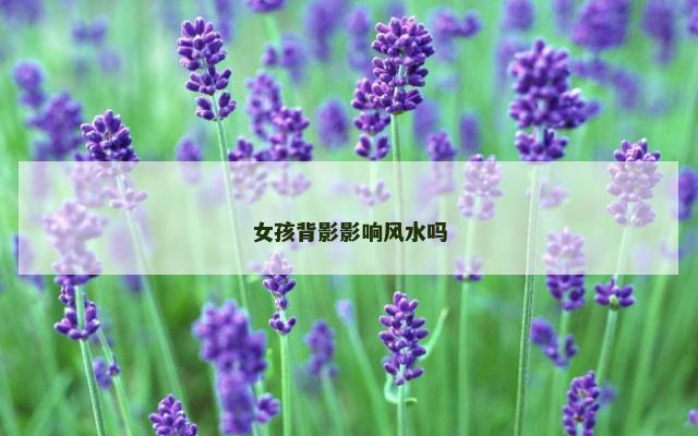 女孩背影影响风水吗