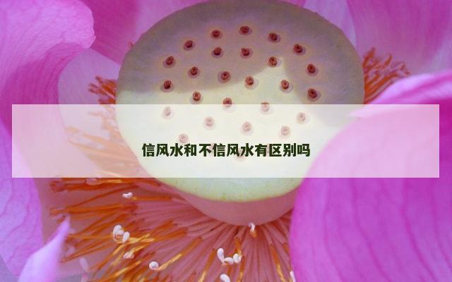 信风水和不信风水有区别吗