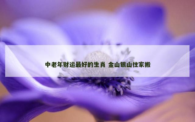 中老年财运最好的生肖 金山银山往家搬