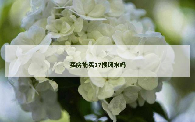 买房能买17楼风水吗