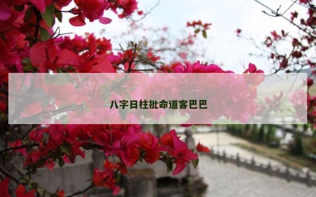 八字日柱批命道客巴巴