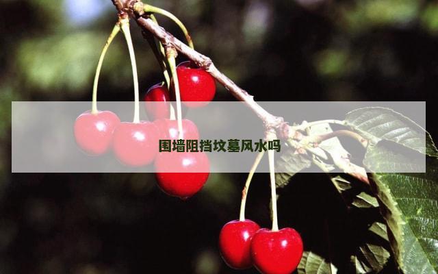 围墙阻挡坟墓风水吗