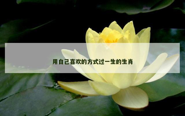 用自己喜欢的方式过一生的生肖