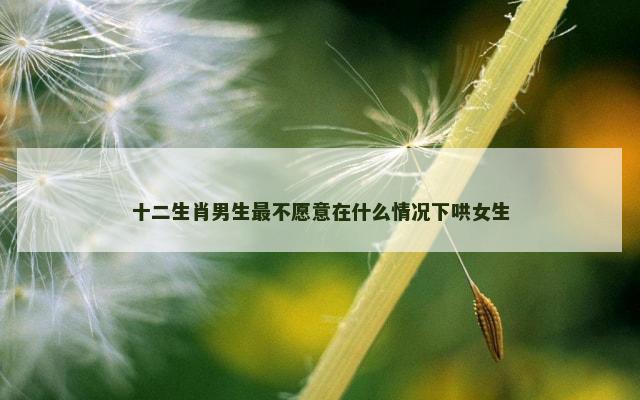十二生肖男生最不愿意在什么情况下哄女生