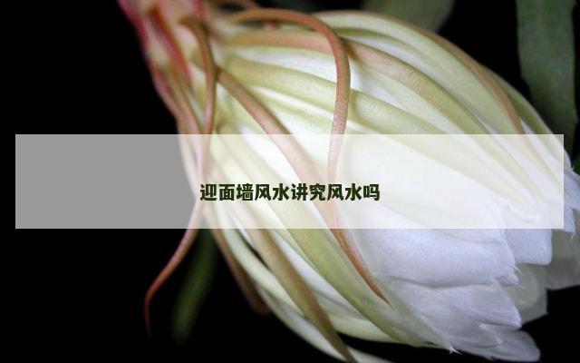 迎面墙风水讲究风水吗