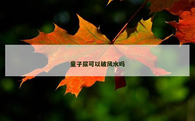 童子尿可以破风水吗