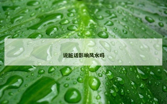 说脏话影响风水吗