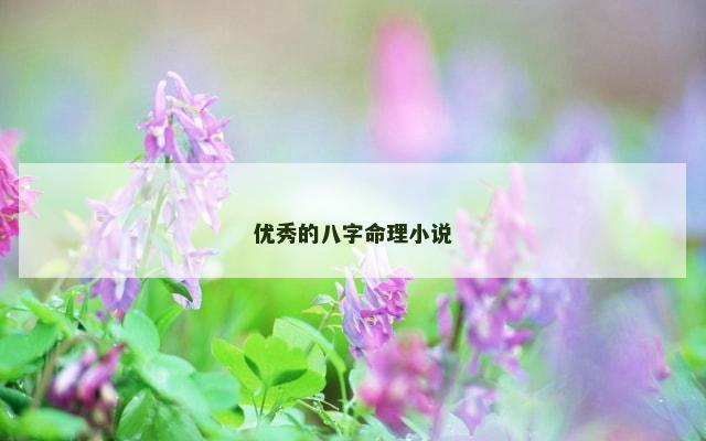 优秀的八字命理小说