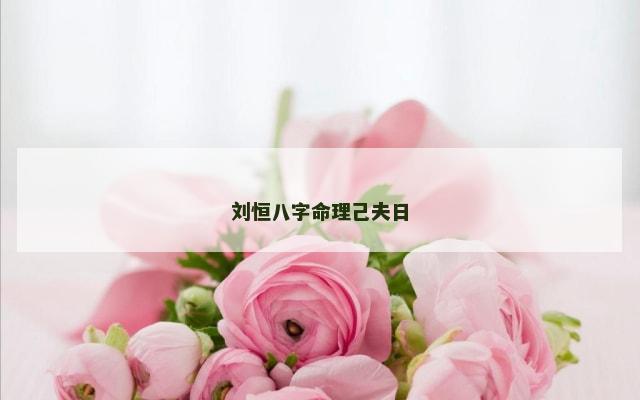 刘恒八字命理己夫日