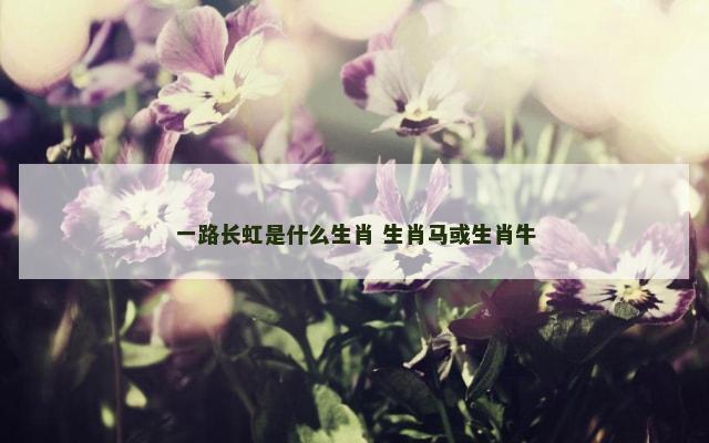 一路长虹是什么生肖 生肖马或生肖牛
