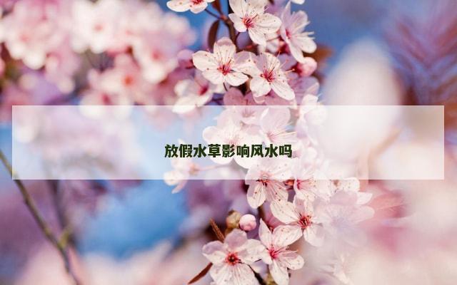 放假水草影响风水吗
