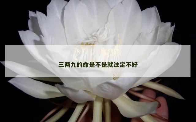 三两九的命是不是就注定不好