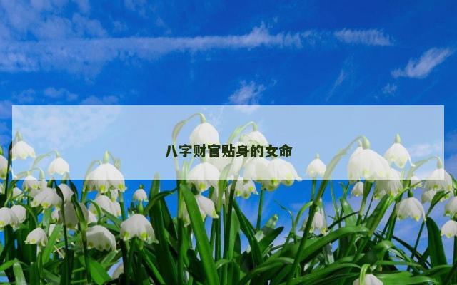 八字财官贴身的女命