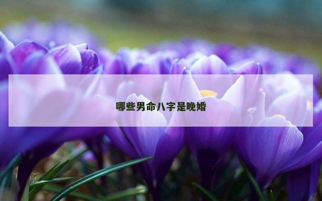 哪些男命八字是晚婚