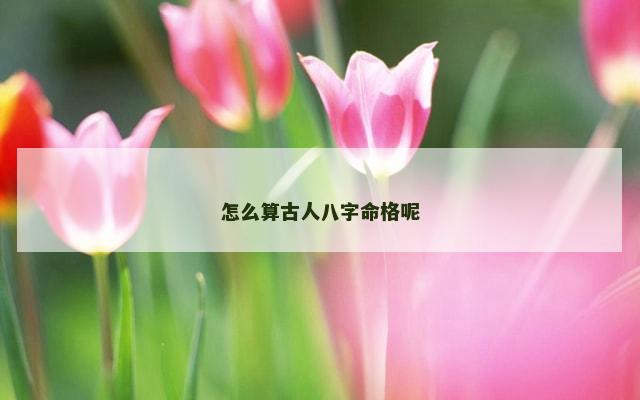 怎么算古人八字命格呢