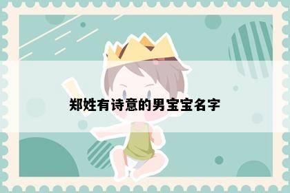 郑姓有诗意的男宝宝名字