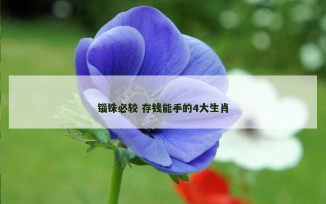 锱铢必较 存钱能手的4大生肖