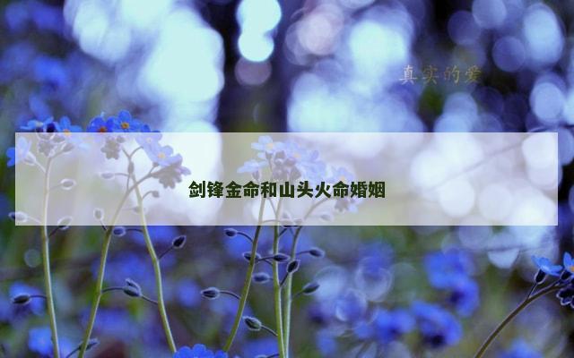 剑锋金命和山头火命婚姻