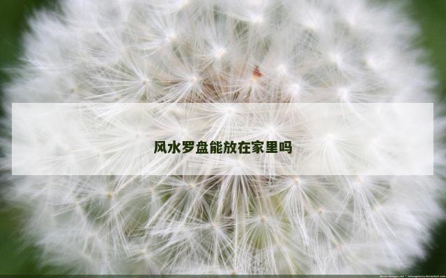 风水罗盘能放在家里吗