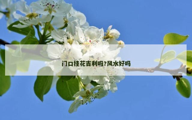 门口挂花吉利吗?风水好吗