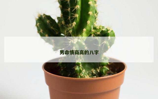 男命情商高的八字