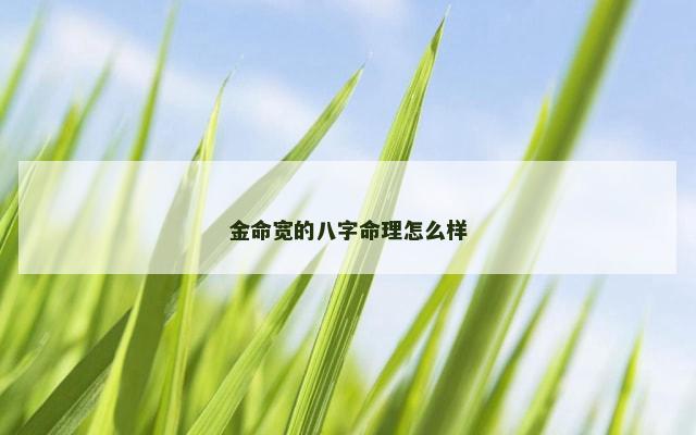 金命宽的八字命理怎么样