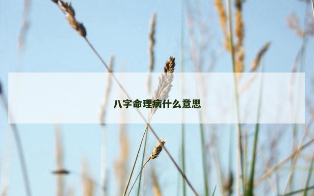 八字命理病什么意思