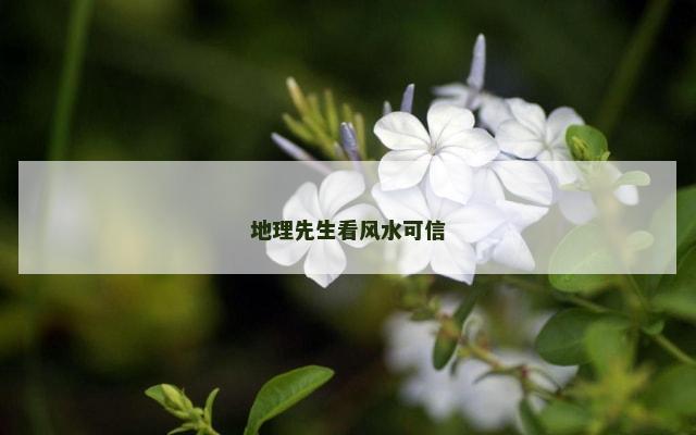 地理先生看风水可信
