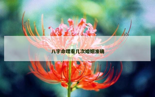 八字命理看几次婚姻准确