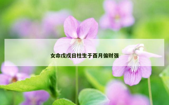 女命戊戌日柱生于酉月偏财强