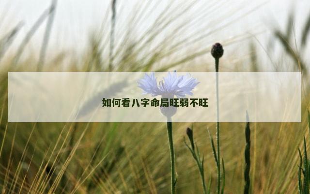如何看八字命局旺弱不旺