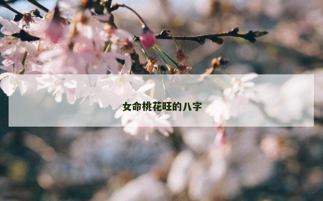 女命桃花旺的八字