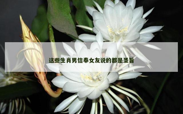 这些生肖男信奉女友说的都是圣旨