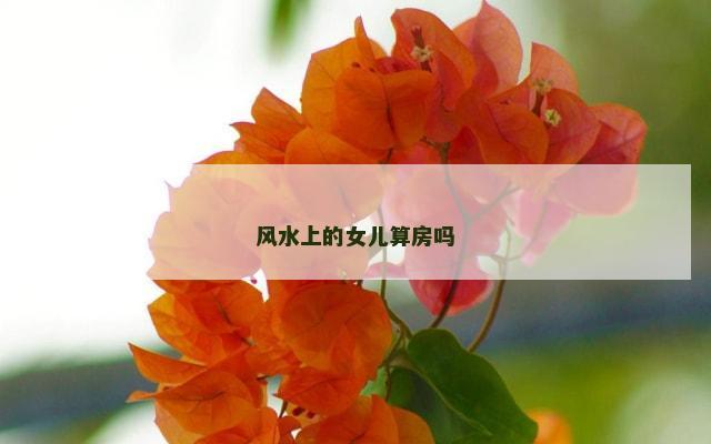 风水上的女儿算房吗