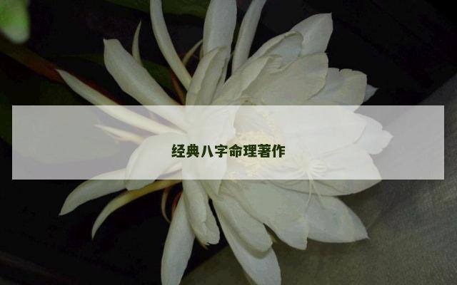 经典八字命理著作
