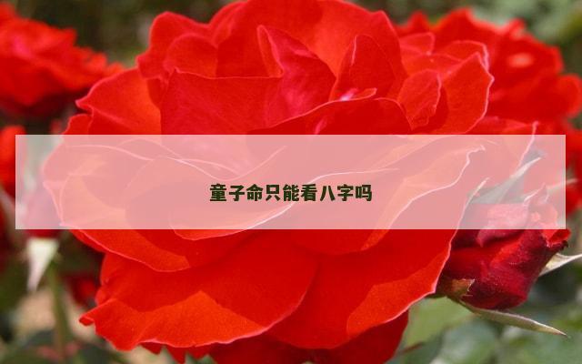 童子命只能看八字吗