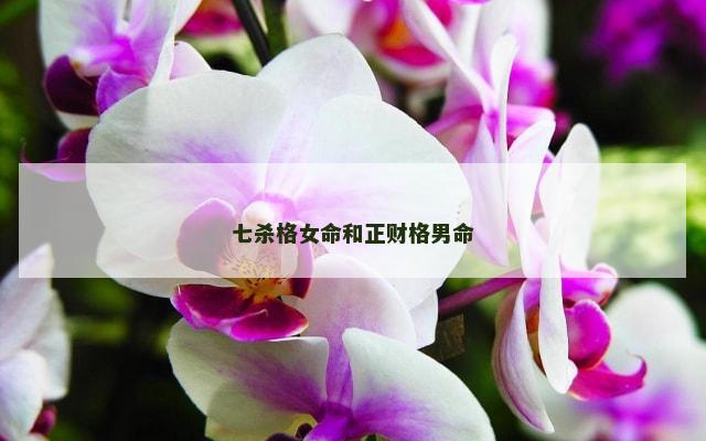 七杀格女命和正财格男命