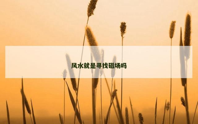 风水就是寻找磁场吗