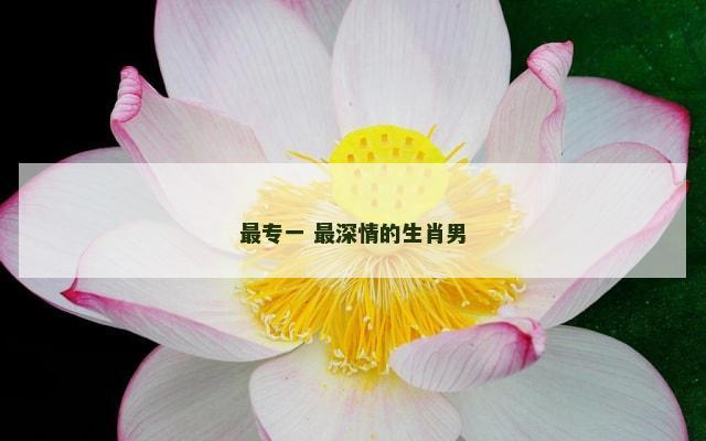 最专一 最深情的生肖男