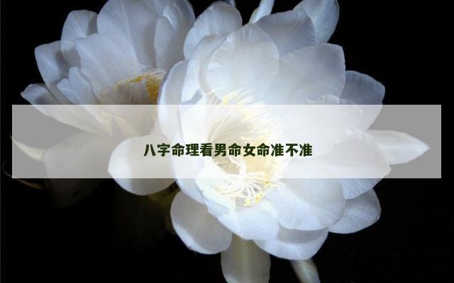 八字命理看男命女命准不准