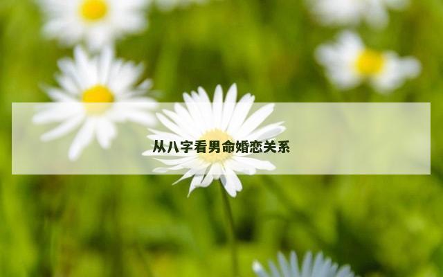 从八字看男命婚恋关系