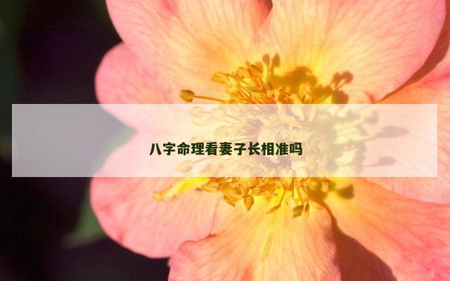 八字命理看妻子长相准吗