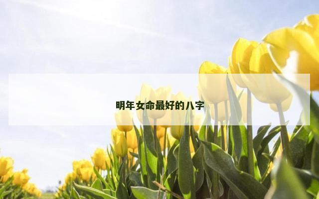 明年女命最好的八字
