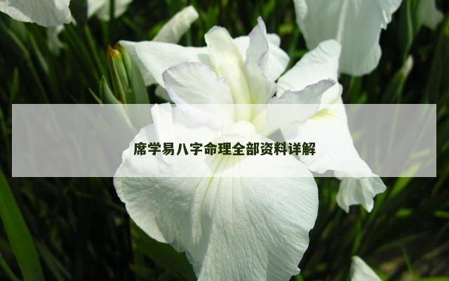席学易八字命理全部资料详解