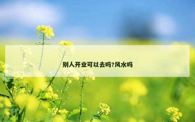 别人开业可以去吗?风水吗