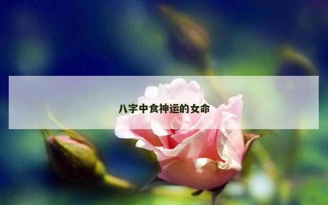 八字中食神运的女命